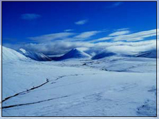 Tundra